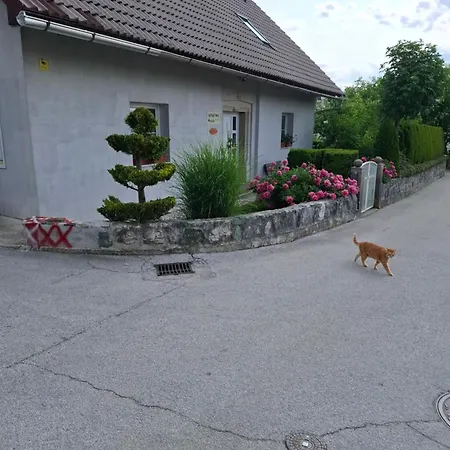 Apartmaji Magda Apartamento Zgornje Gorje