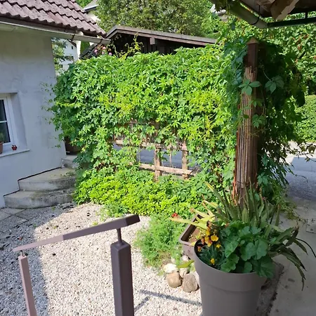 Apartmaji Magda