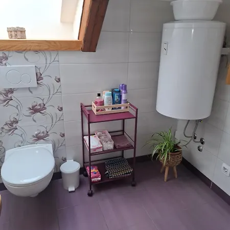 Apartmaji Magda Zgornje Gorje