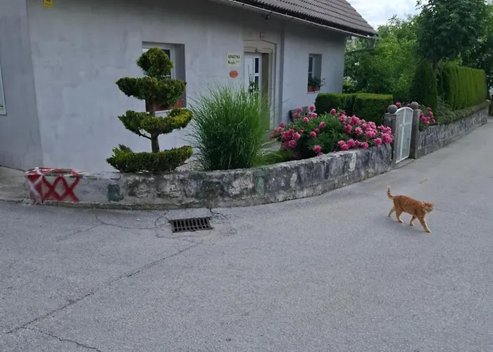 Apartmaji Magda Appartement Zgornje Gorje