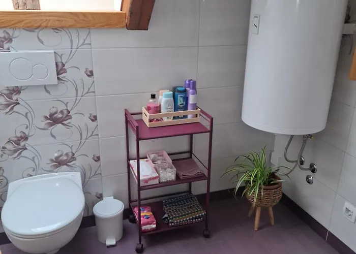 Apartmaji Magda Zgornje Gorje